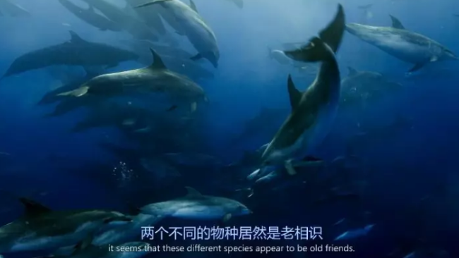 智利稀土项目有望使其成为世界级参与者