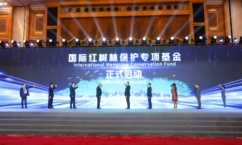 加纳政府无意重新谈判延长国际货币基金组织协议