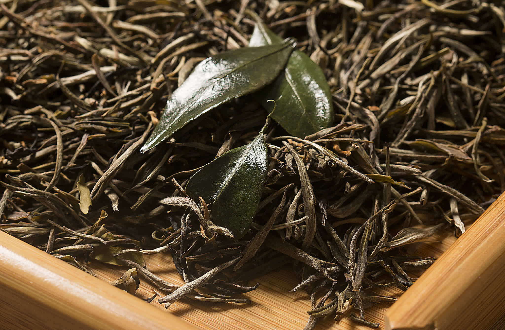 斯里兰卡3月茶叶产量回升，第一季度产量创三年新高
