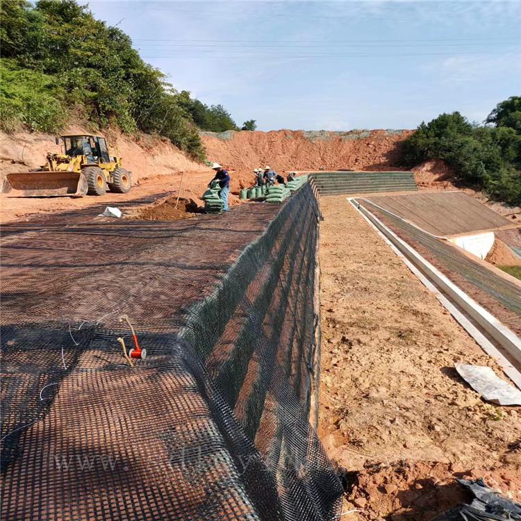 金埔园林获得实用新型专利授权：“一种用于边坡复绿生态护坡”