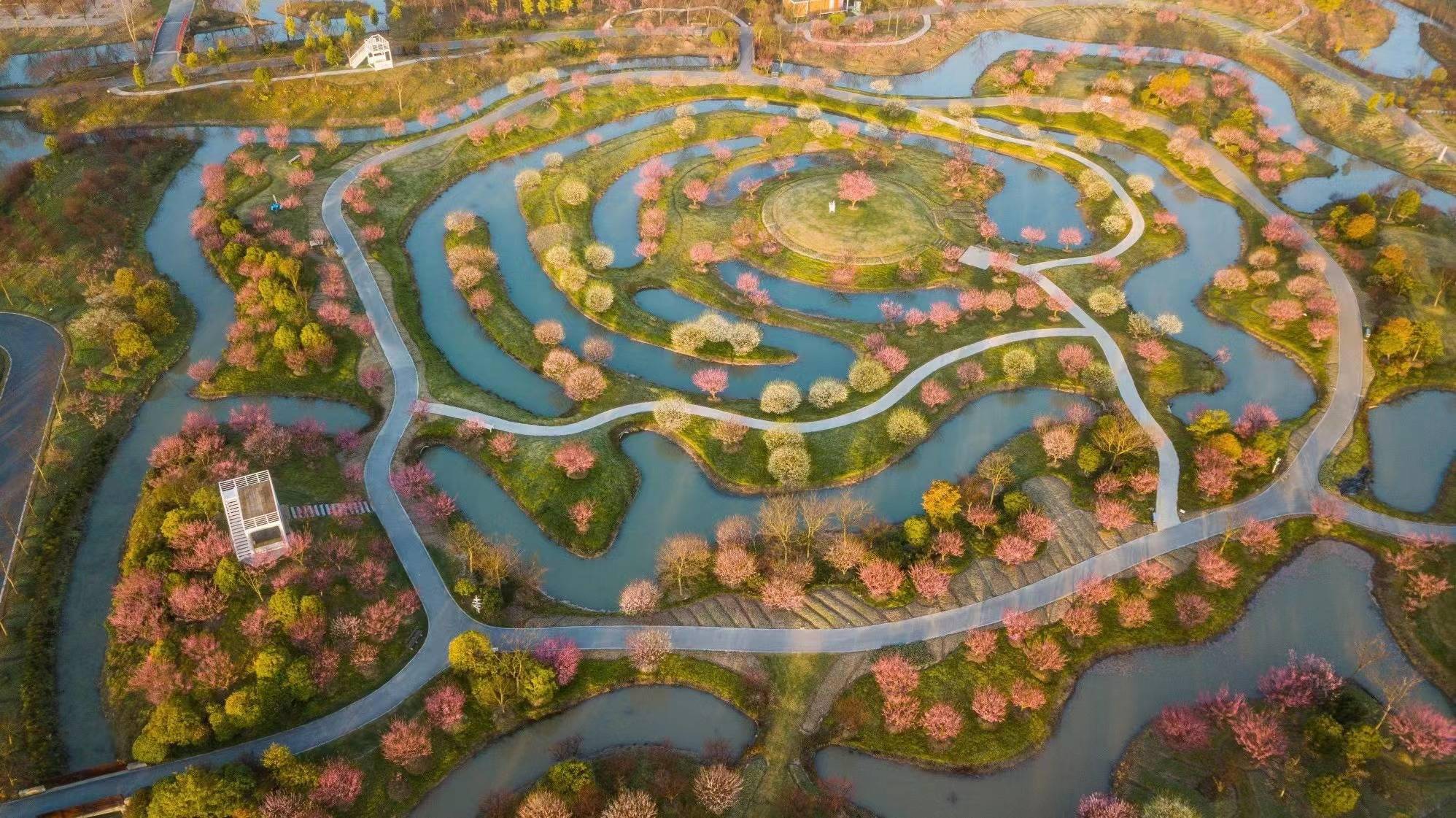 摩洛哥芳香产业蓬勃发展跃居全球第三大生产国