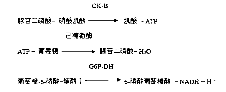 迈瑞医疗获得发明专利授权：“肌酸激酶检测试剂、试剂盒和检测方法”