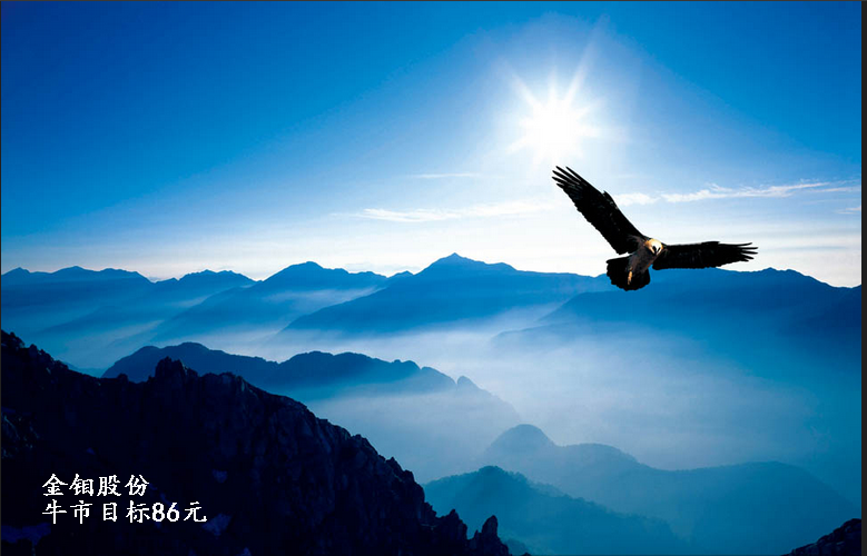 金钼股份获得实用新型专利授权：“一种尾矿库长距离输送管道快速止漏装置”