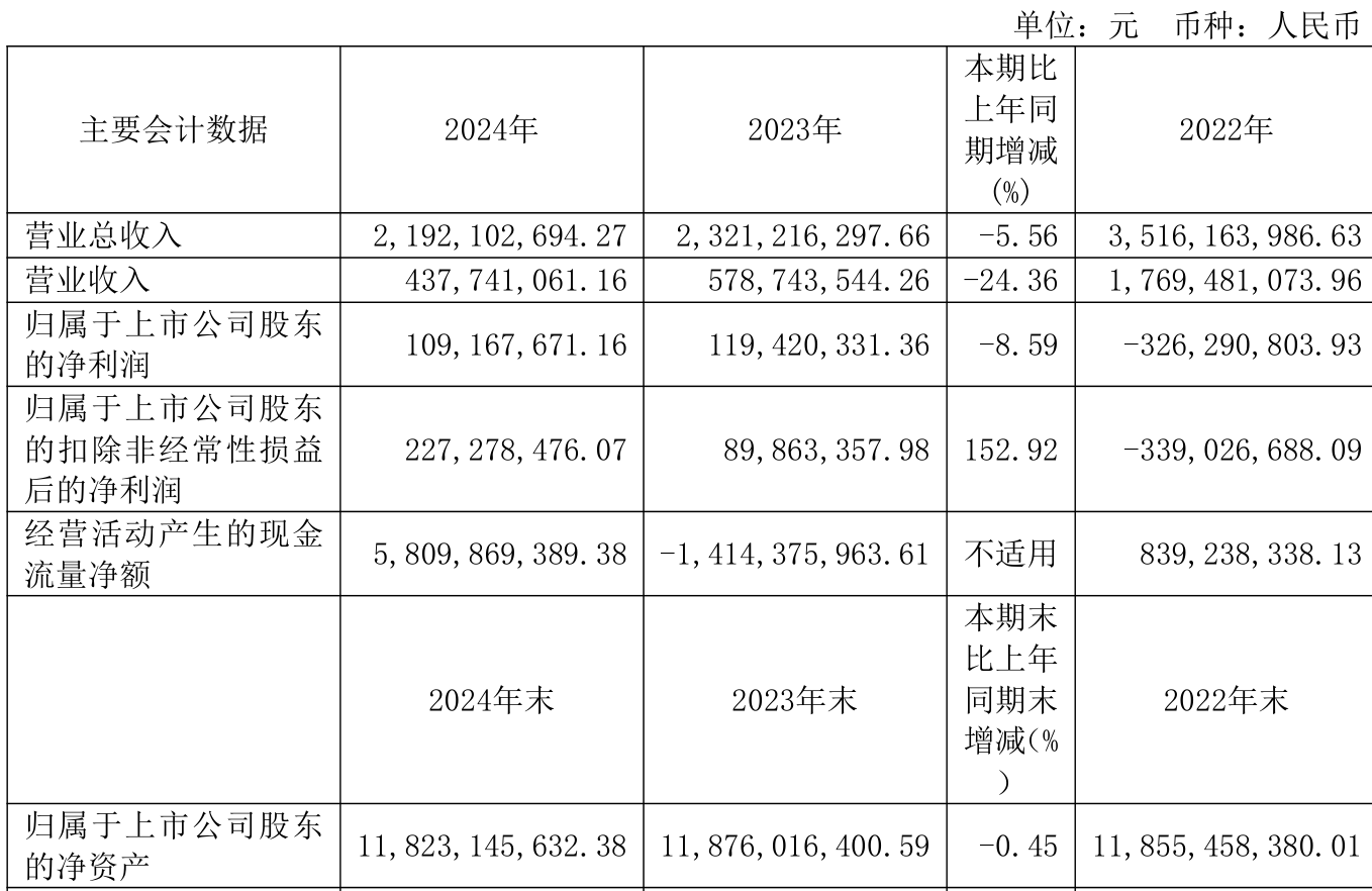 正丹股份：公司2024年年度报告已于2025年4月16日披露