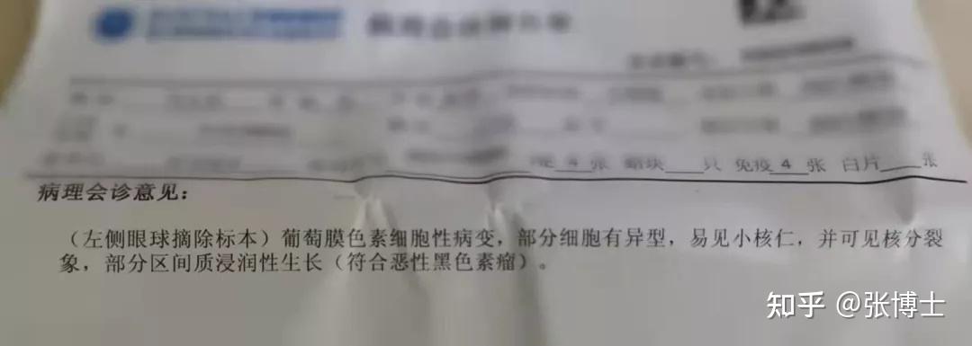英思特获得发明专利授权：“一种PET磁铁组件的下料摆盘装置及方法”