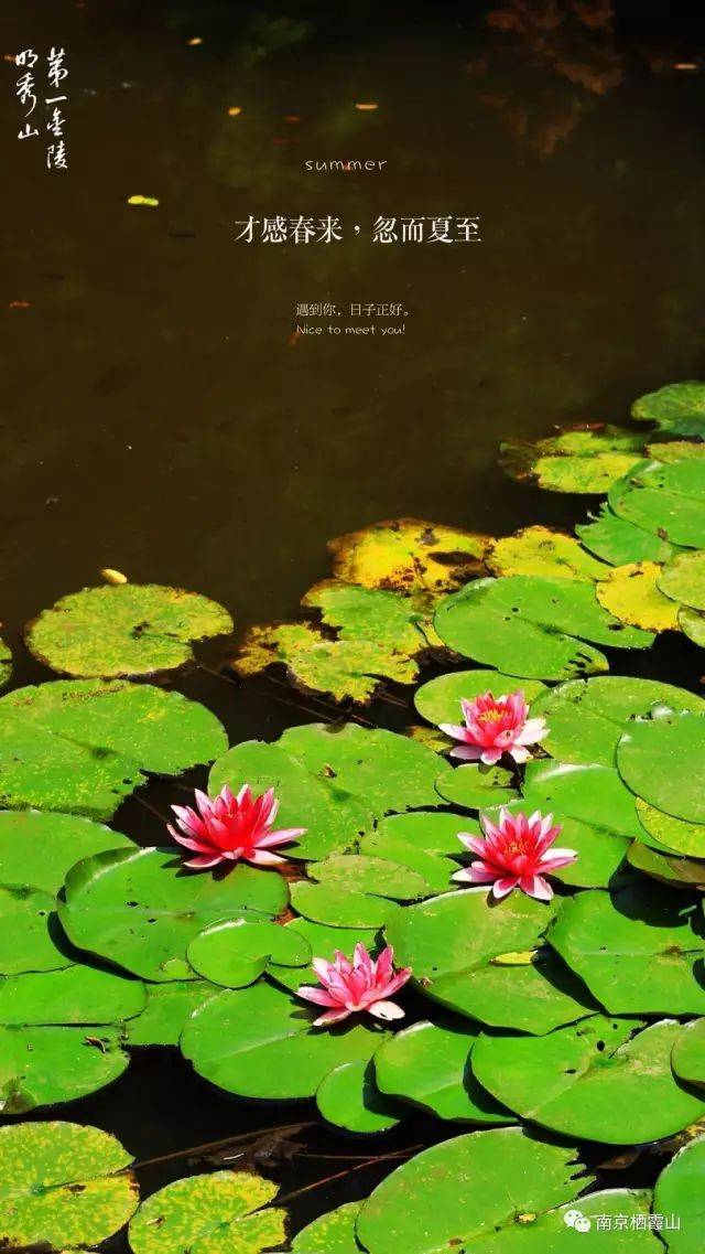 专栏丨无用之用可为大用——透过诺奖看科学初心