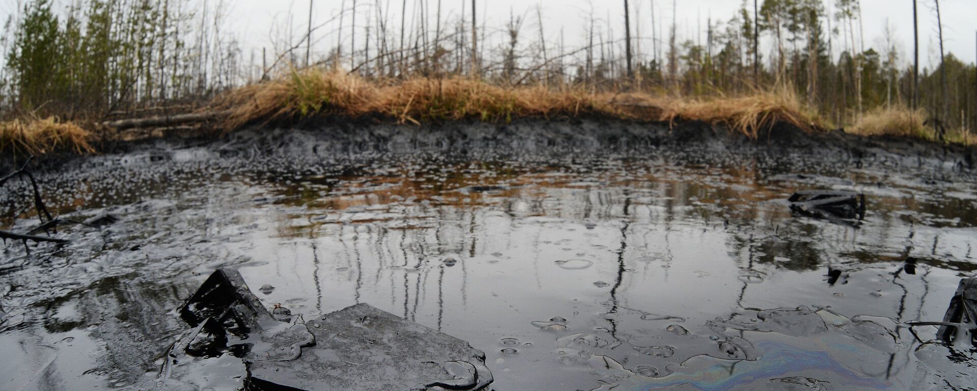 俄罗斯研发出从水中吸附石油产品的新型聚合物