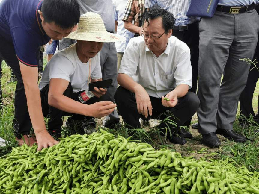于维华参赞会见马里出口促进署副署长