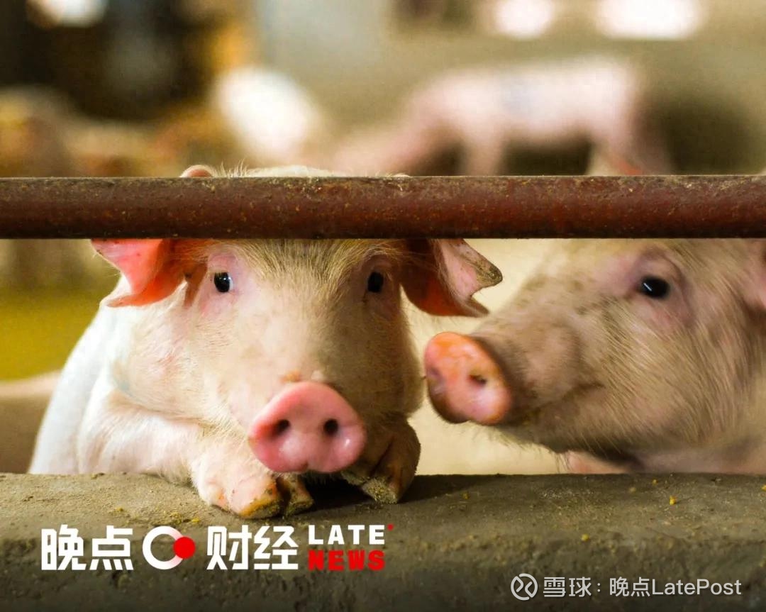 施罗德投资:2026年债市分化趋势或将延续