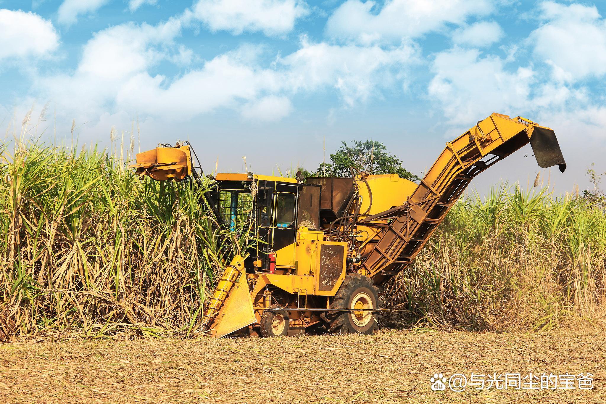 利比里亚邦州启动大型现代化玉米种植项目