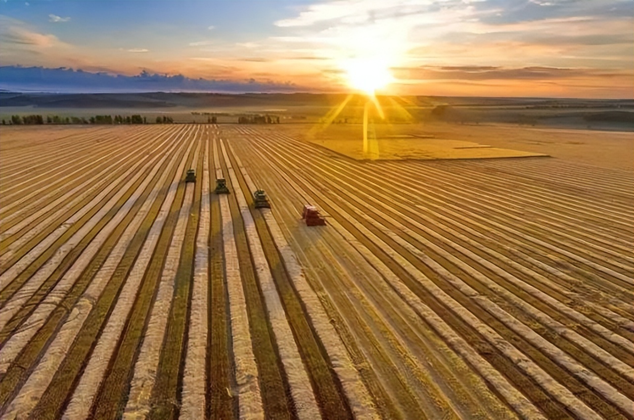 苏丹尼罗州拟新建畜牧生产设施