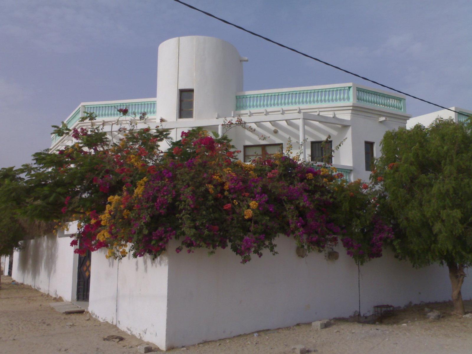 毛里塔尼亚2025年前三季度渔业出口额达9.08亿美元