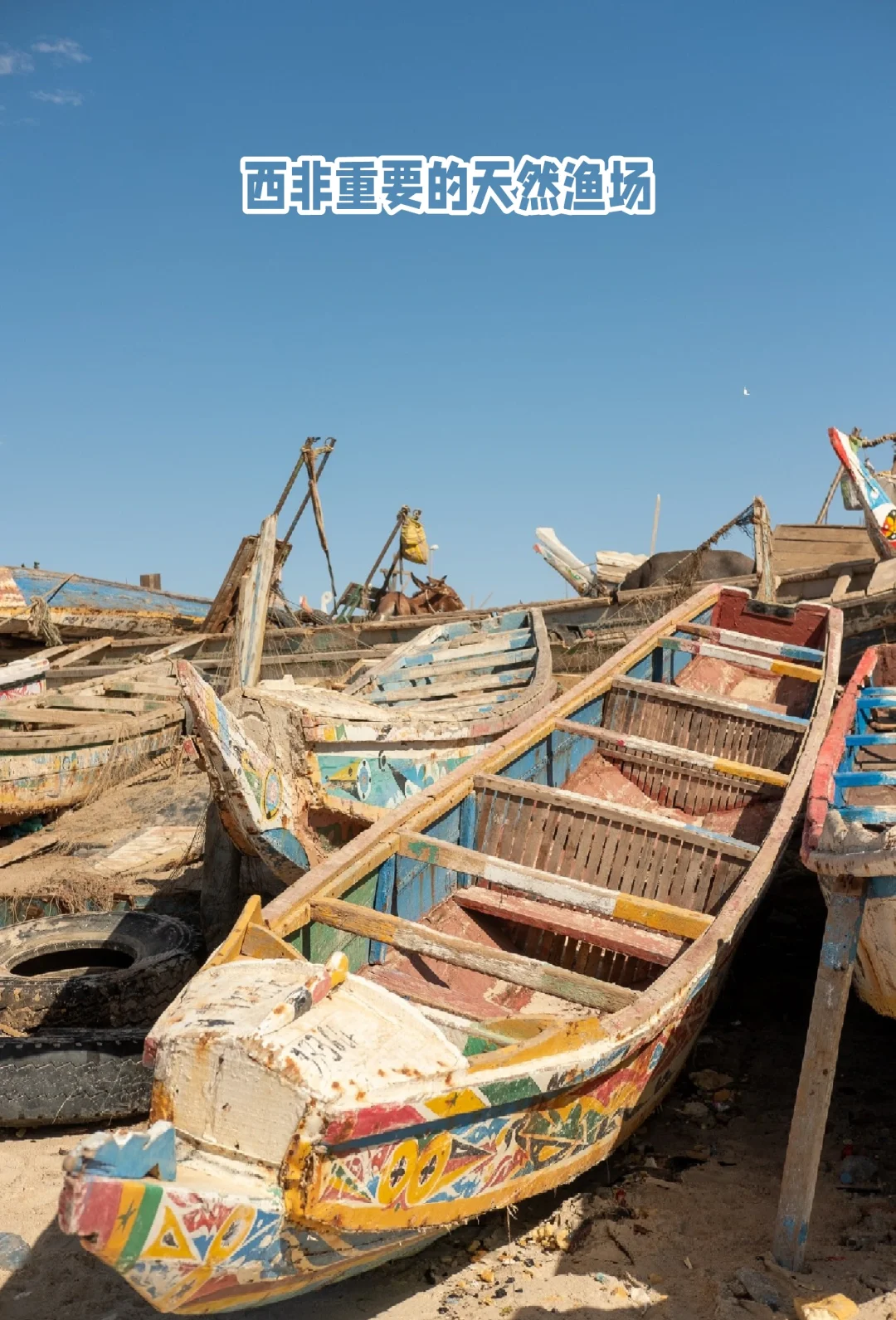 毛里塔尼亚2025年前三季度渔业出口额达9.08亿美元