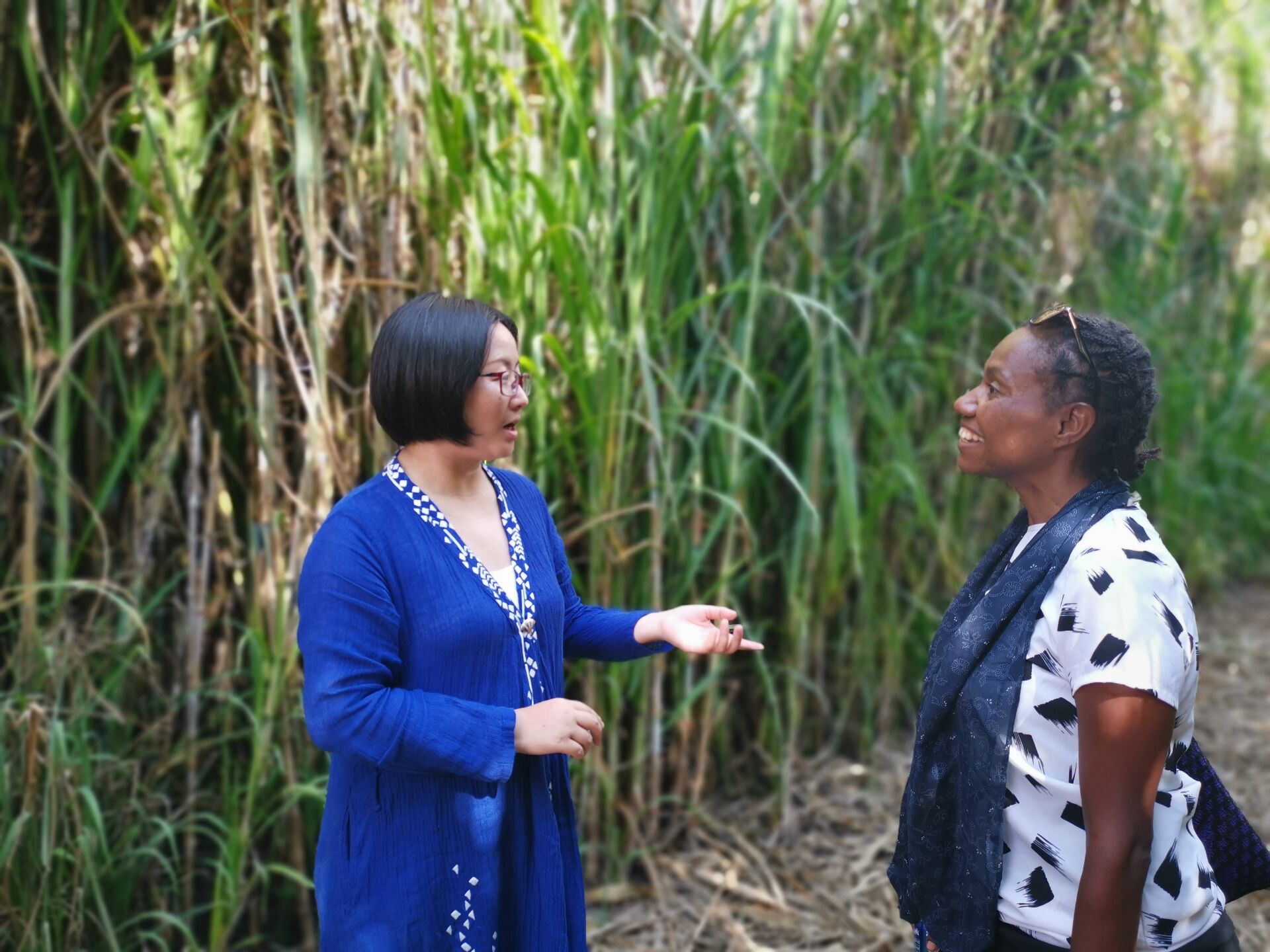 澳大利亚在巴新的未来下重注