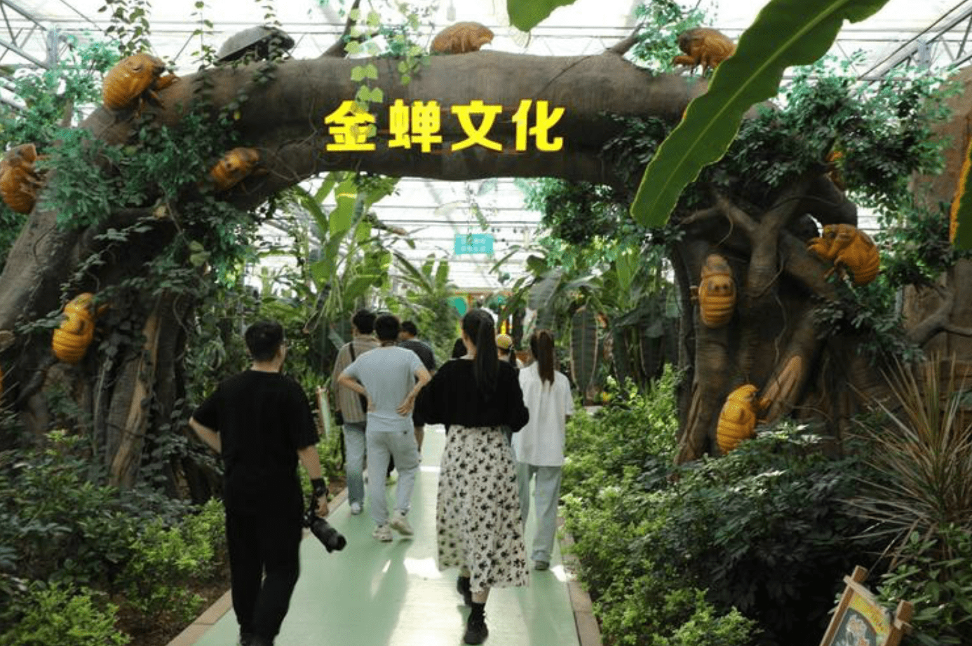 以岭药业斩获全国首个酸枣仁GAP基地