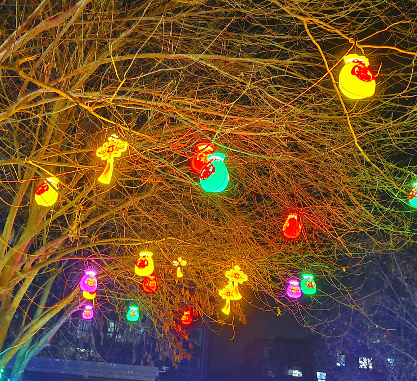 中国人寿的2025答卷：以保障之名，守护烟火人间的岁岁年年