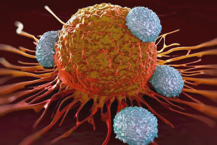 我国前列腺癌治疗模式正在变革 多维联合与精准治疗推动诊疗模式革新