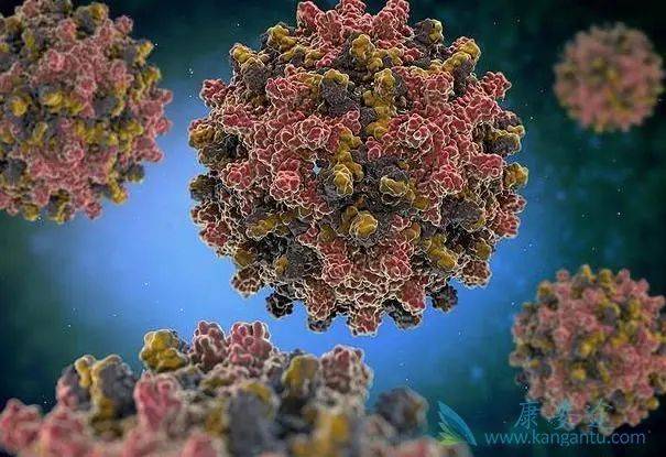 科研人员给肿瘤细胞打上“可清除”标签