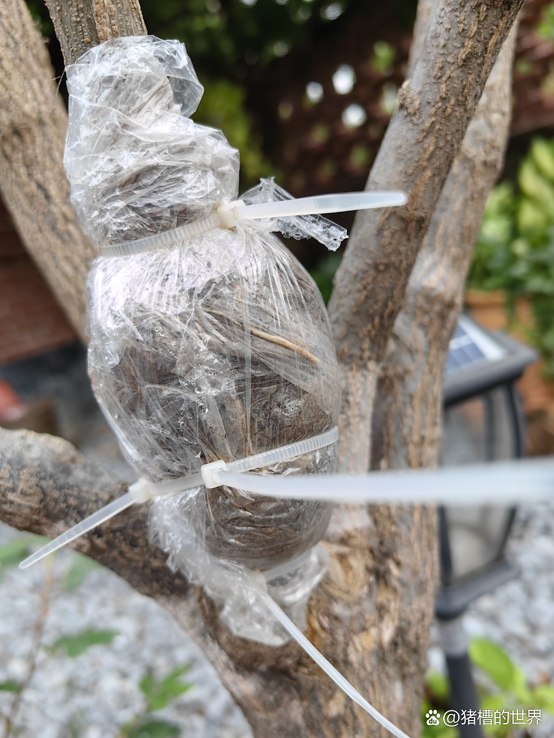 我国科研人员让精密电路像“保鲜膜”一样能包裹万物