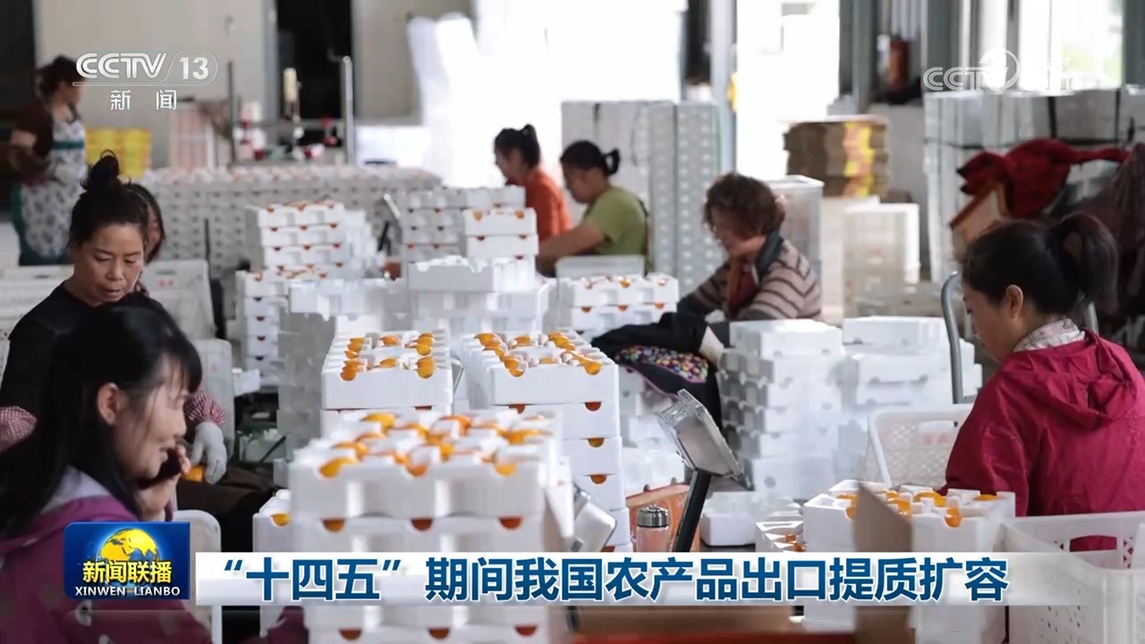 2025年巴西大豆等农产品出口稳步增长