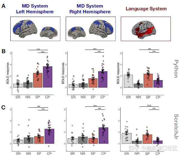 科普｜科学家发现了大脑中的“动力刹车”