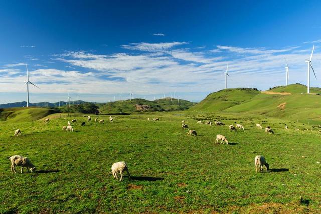 吉电股份：公司是国家电投集团面向全球发展的唯一绿色氢基能源平台