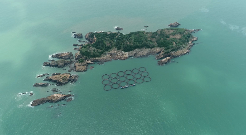 博阿凯总统正式任命Saygbe为国家渔业水产局局长，期待巩固改革成果