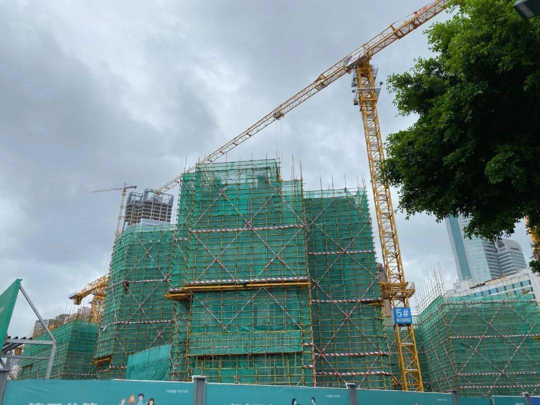 皮阿诺：截止至2026年1月20日股东户数为12,218户