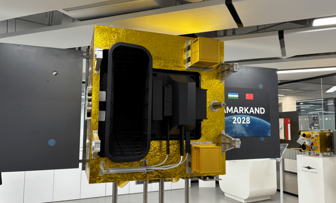 年轻且能打！浙江首批“科技新小龙”亮相