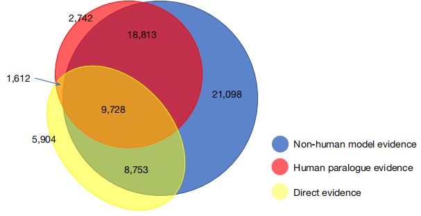 “深层思维”公司说其AI模型可解码人类“暗基因组”