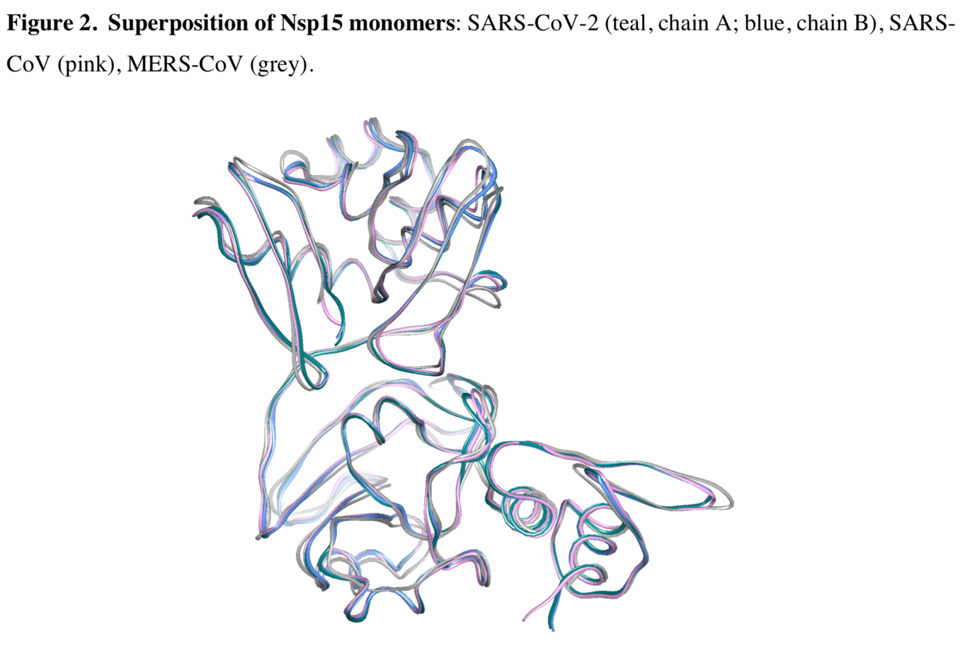 锦波生物公布国际专利申请：“可抑制类MERS冠状病毒感染的多肽及其应用”
