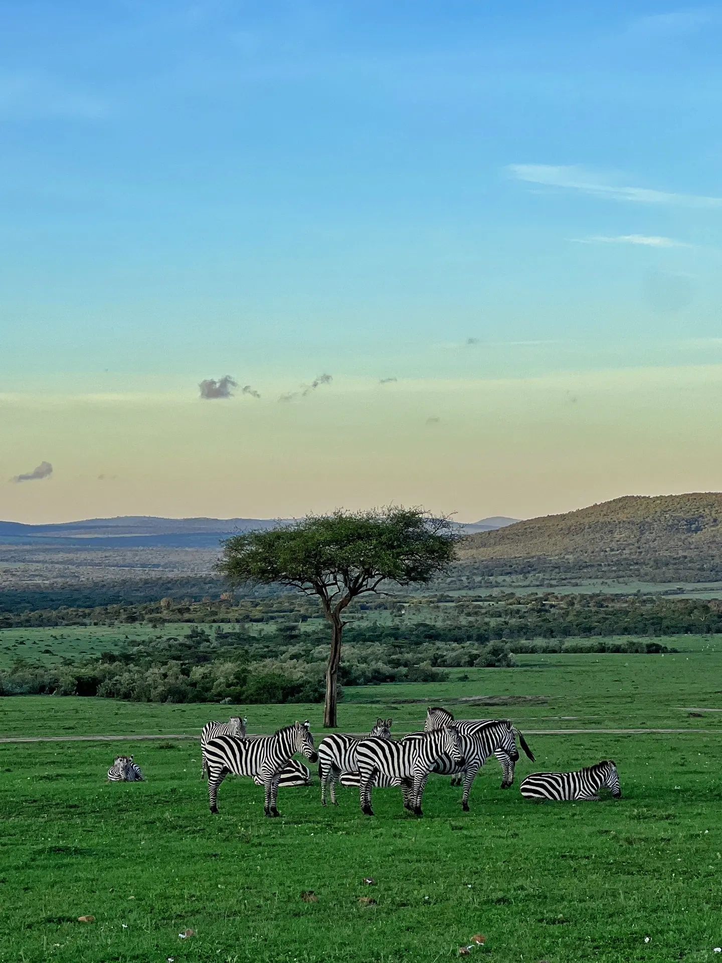 疫情期间IMF向撒哈拉以南非洲提供了700亿美元援助