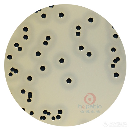 甘李药业公布国际专利申请：“一种选择性降解SMARCA2/4的化合物及其应用”