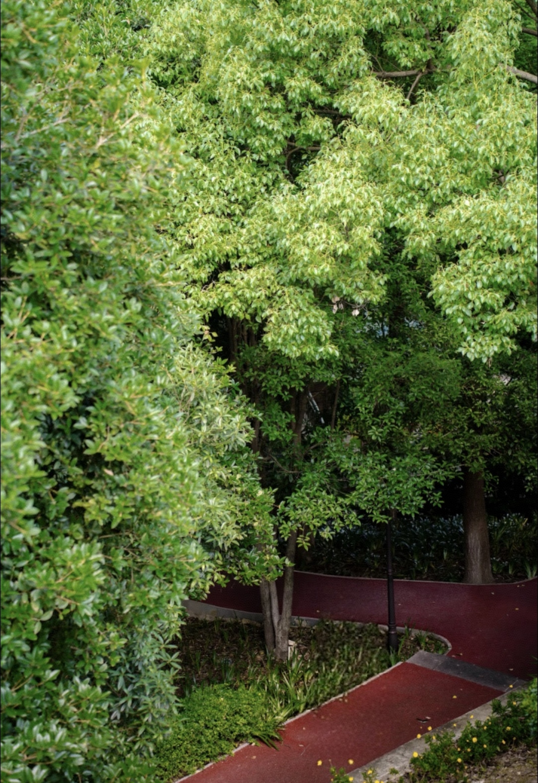 公园与绿地成为可持续发展重要支柱