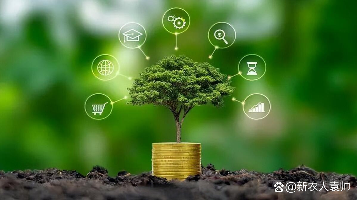 数据显示我国经济社会绿色转型加速推进