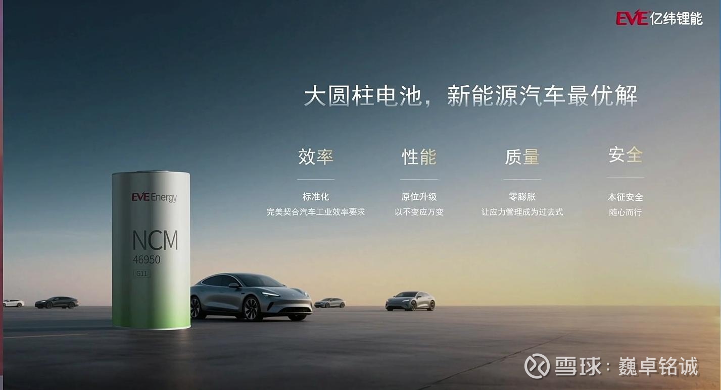 我国科学家打造出安全、抗冻、耐热新型电池