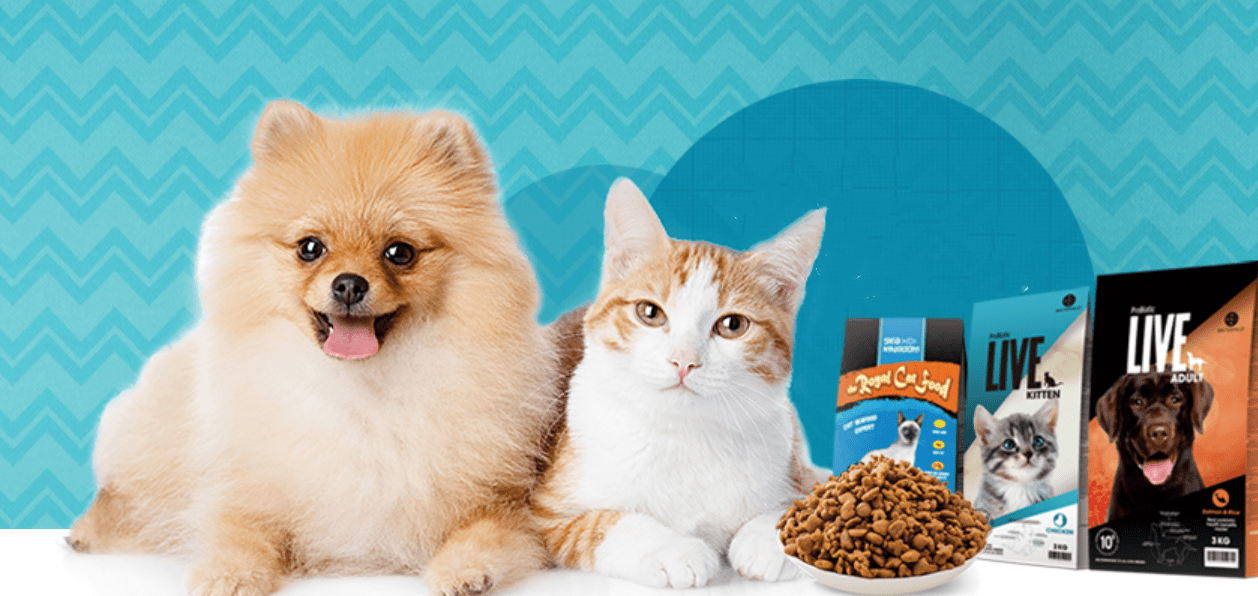 中宠股份：截至2026年2月28日，公司股东户数为36,038