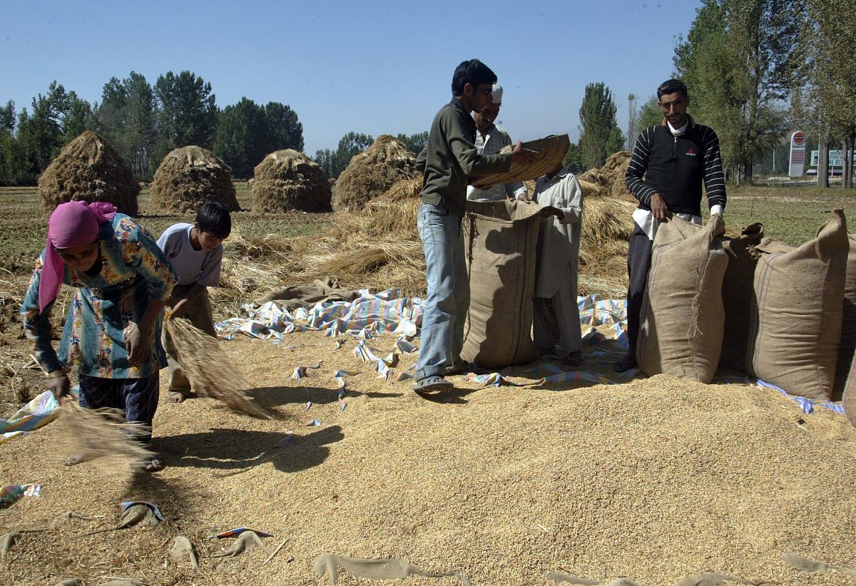 GTRI：西亚冲突威胁印度价值118亿美元的农产品和食品出口