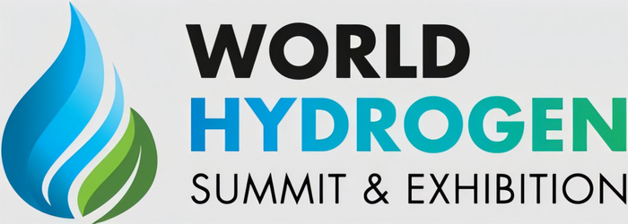 胜利股份：公司未涉及氢能、氨能生产领域