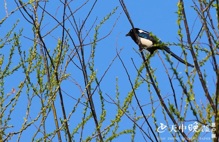 立方风控鸟·晚报(4月9日)