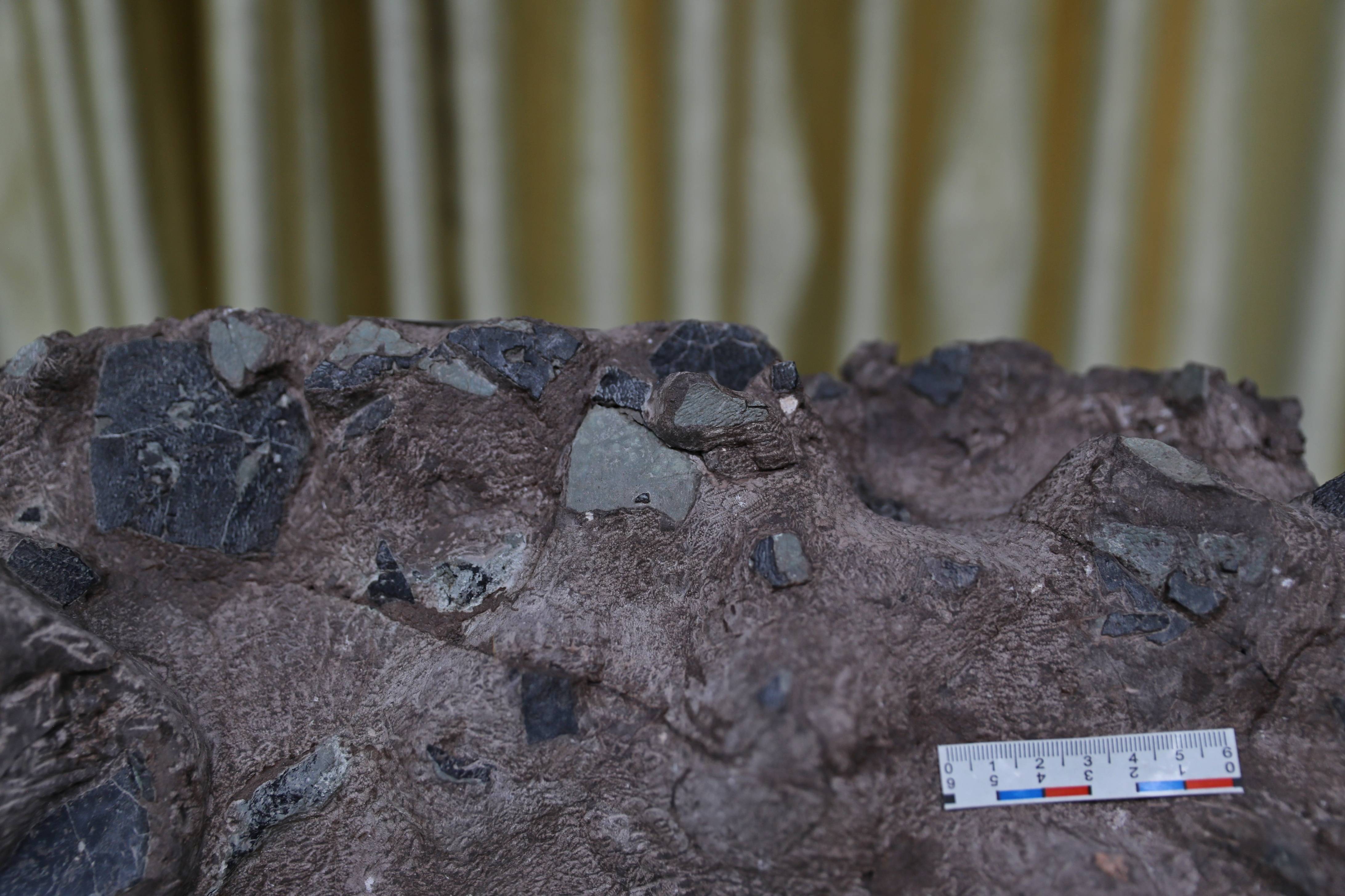 超大规模恐龙蛋化石群穿上“纳米防护服”