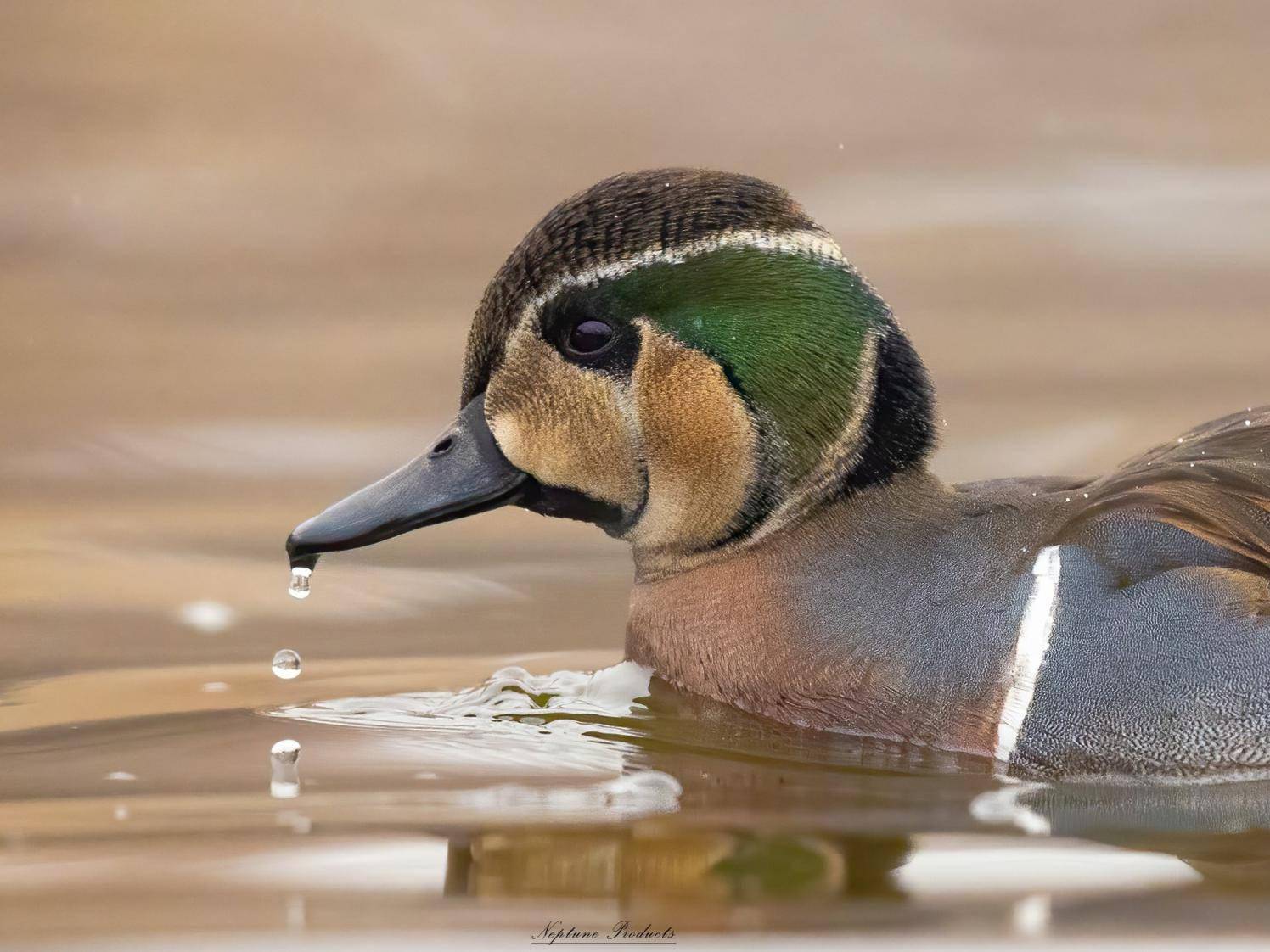 立方风控鸟·早报（4月25日）