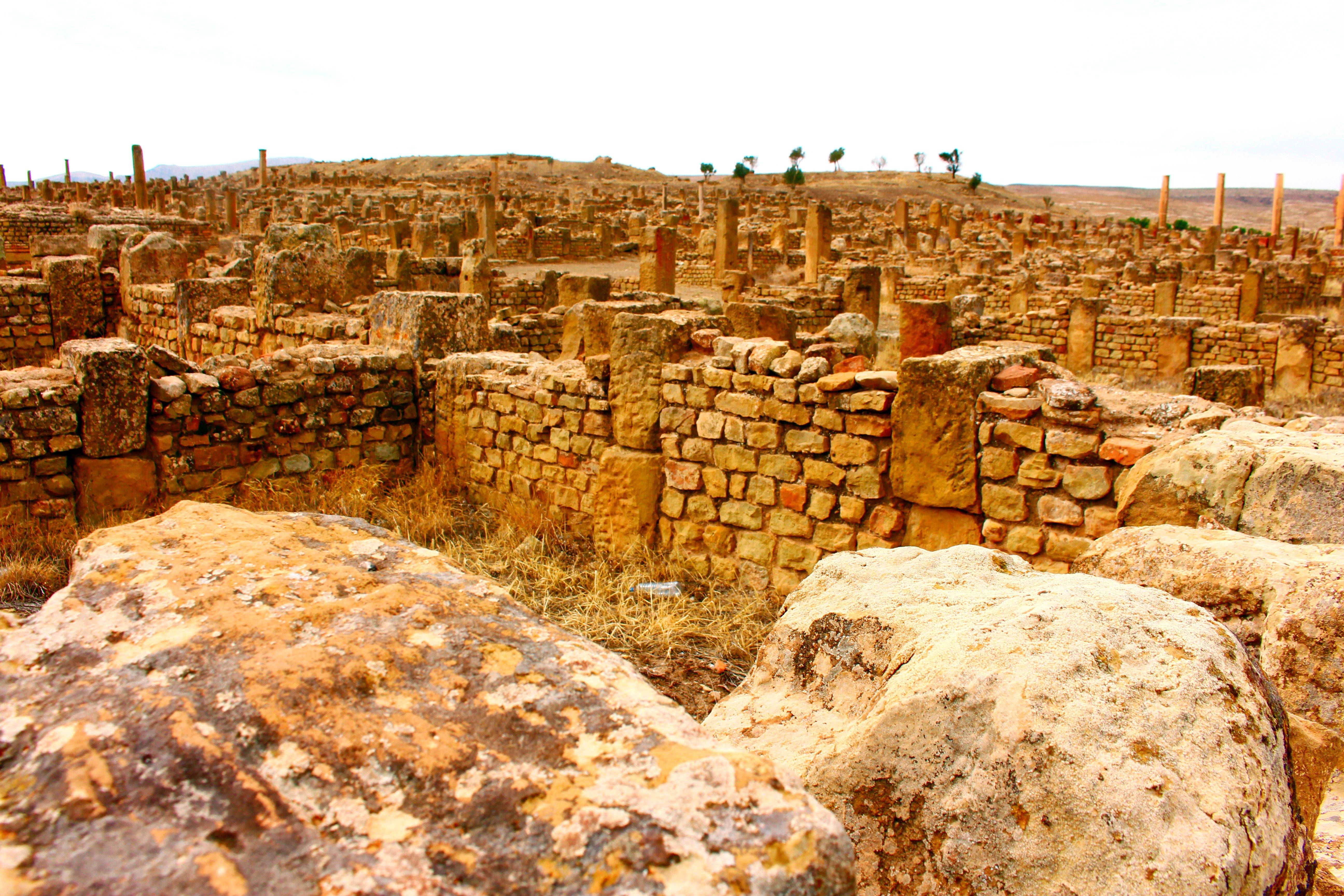 阿尔及利亚水利部长强调前瞻规划保障供水服务稳定