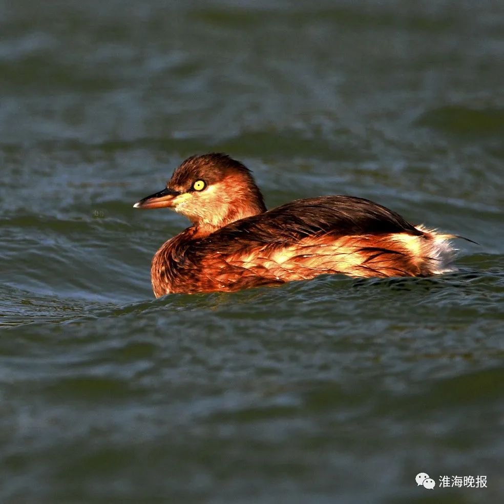 立方风控鸟·晚报（4月28日）