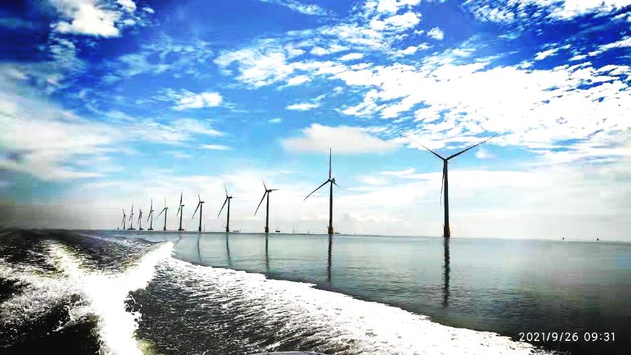 越南嘉莱省批准投建4个太阳能与风电项目