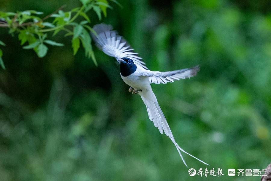立方风控鸟·晚报（5月7日）